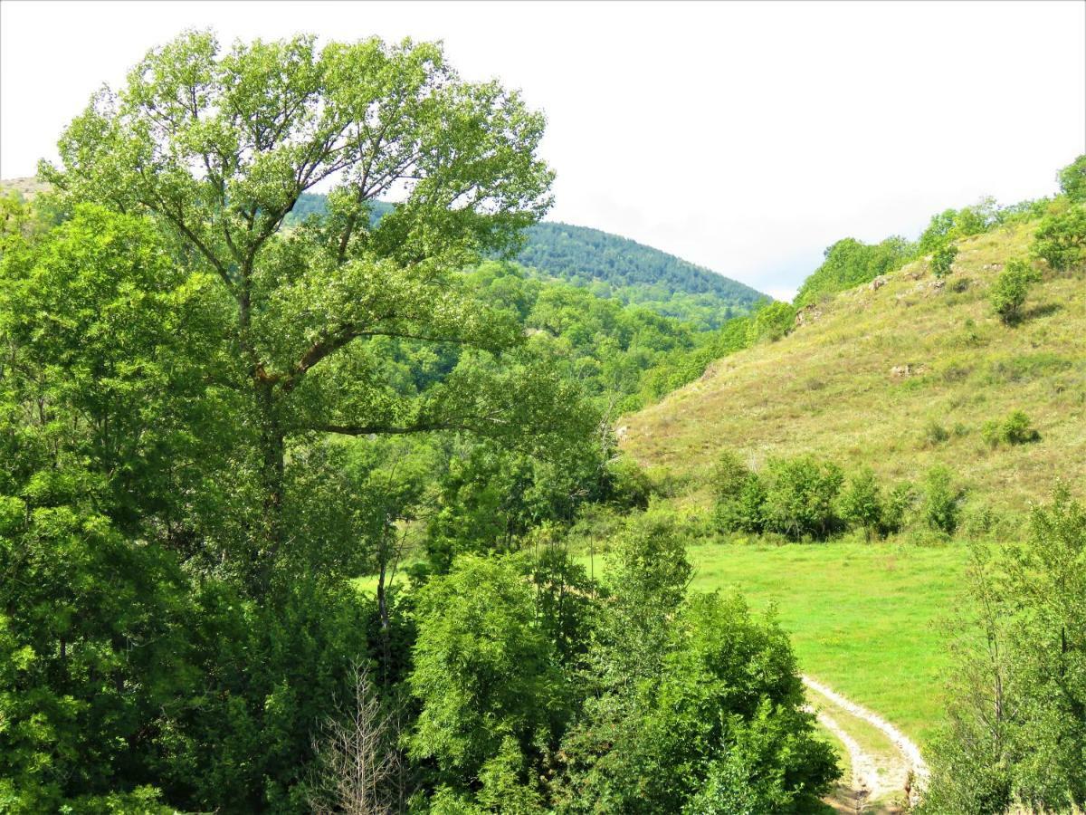 Vaque Villeneuve Des Escaldes Angoustrine Екстериор снимка